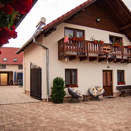 Casa Iancu Hotel Jina Екстериор снимка