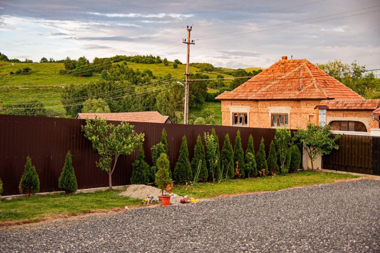 Casa Iancu Hotel Jina Екстериор снимка